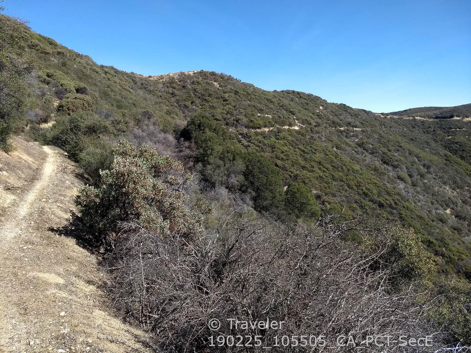 Dirt trail winds along a steep, scrub-covered hillside under a clear blue sky.