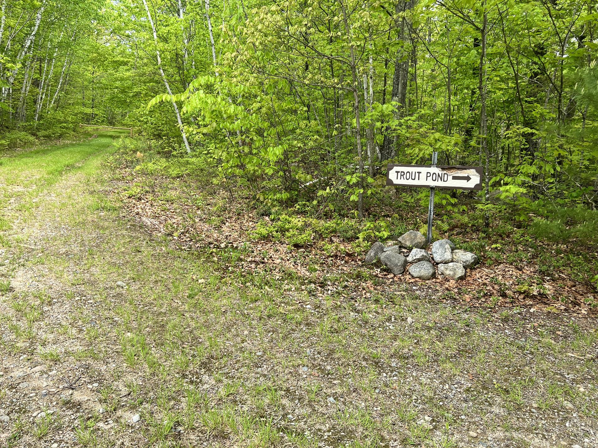 A dirt path leads into a green forest with a "Trout Pond" sign.