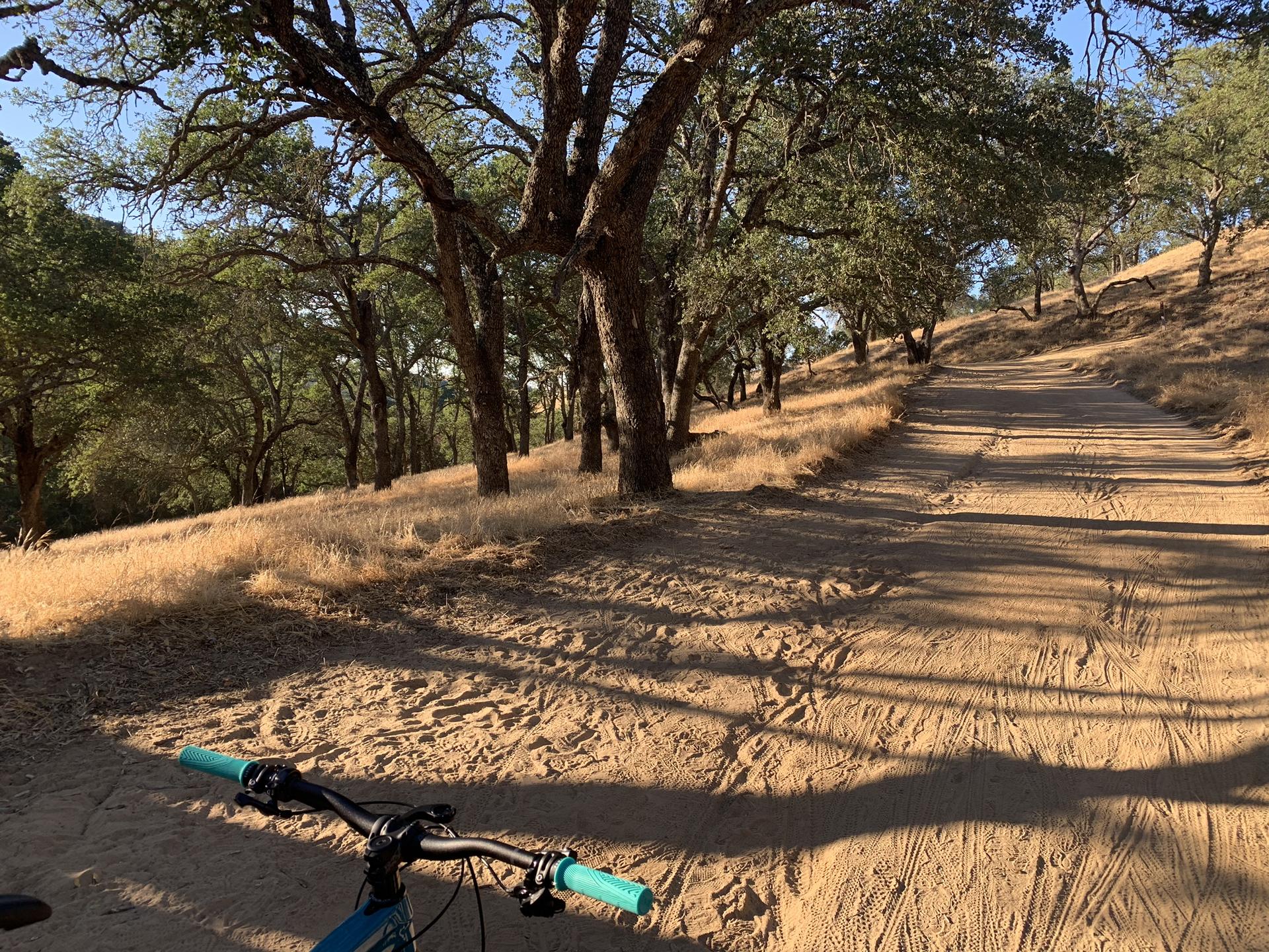 Mountain bike on a sunny dirt path with trees and long shadows.