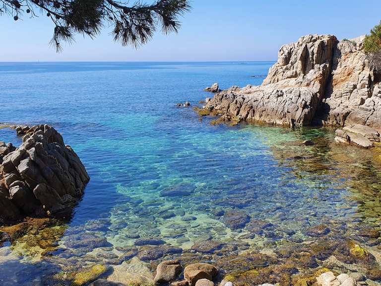 GR92 Küstentunnel – Cala Cap Roig Runde von Platja d'Aro | Wanderung ...