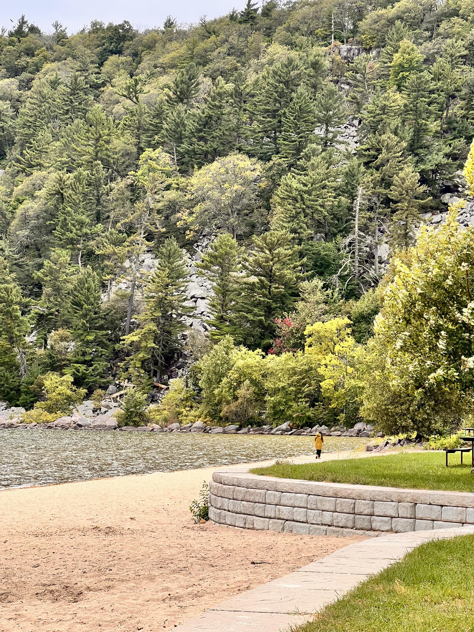 Sandy beach by calm water with a person walking, backed by lush trees.