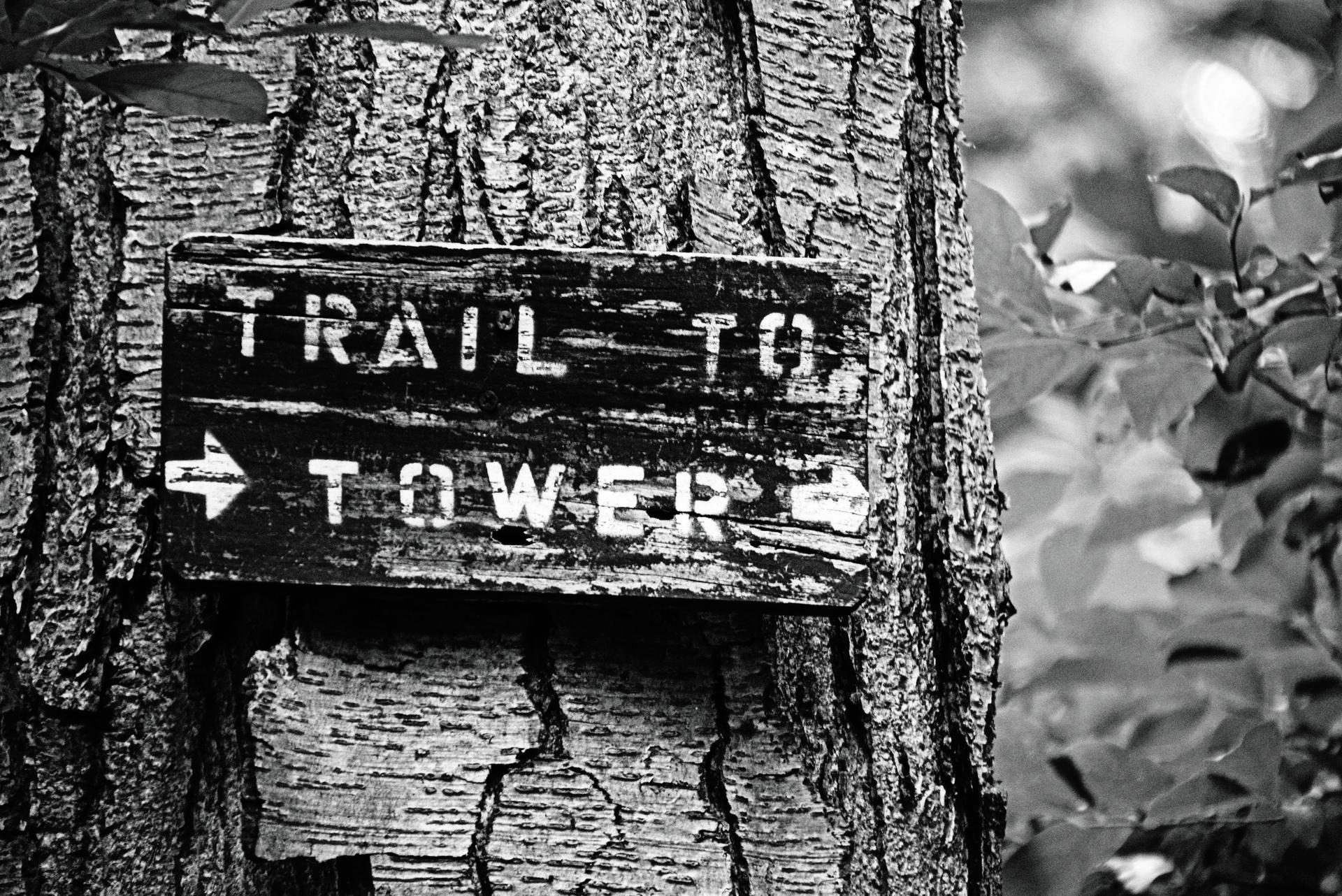 A black and white photo of a wooden "TRAIL TO TOWER" sign on a tree.