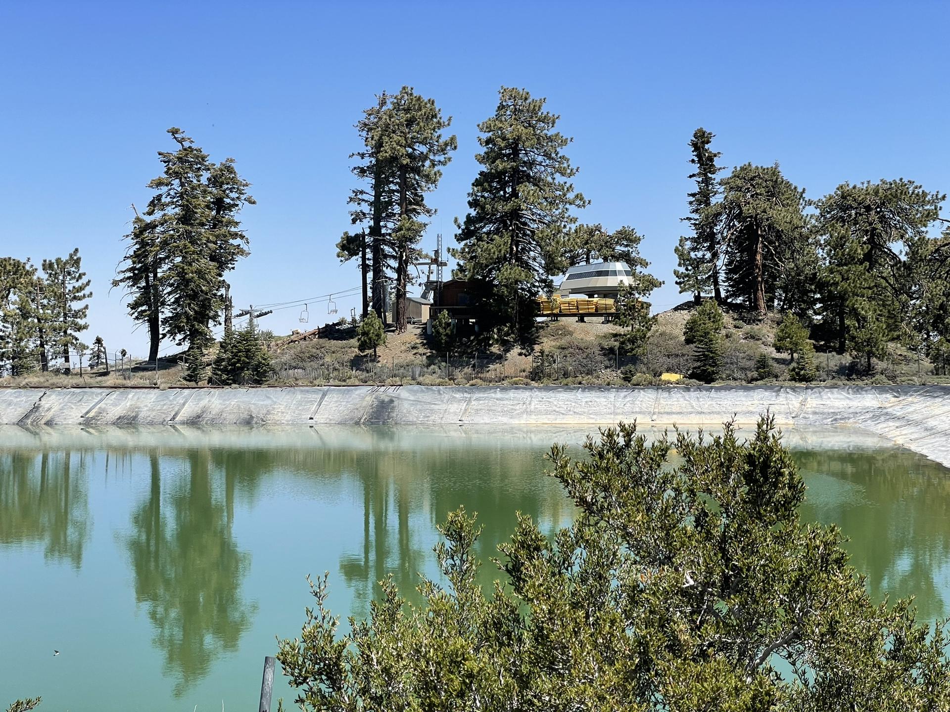 Large reservoir with green water, surrounded by pine trees and distant buildings.