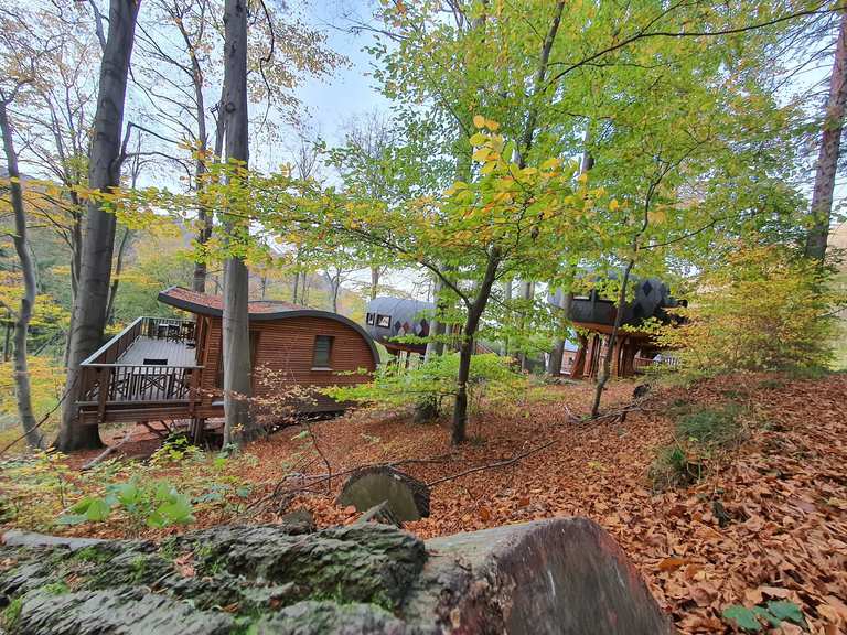 "Baumhäuser" in Bad Harzburg Wanderungen und Rundwege komoot