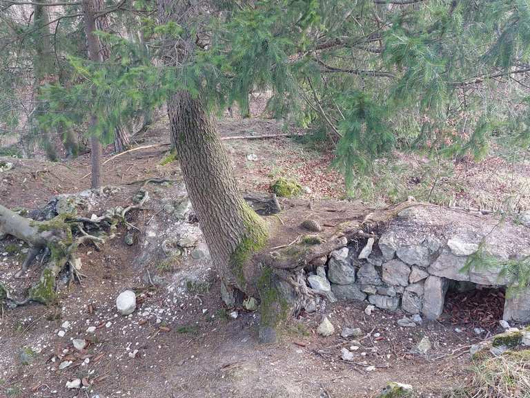 Burgstall Löweneck Wanderungen und Rundwege komoot