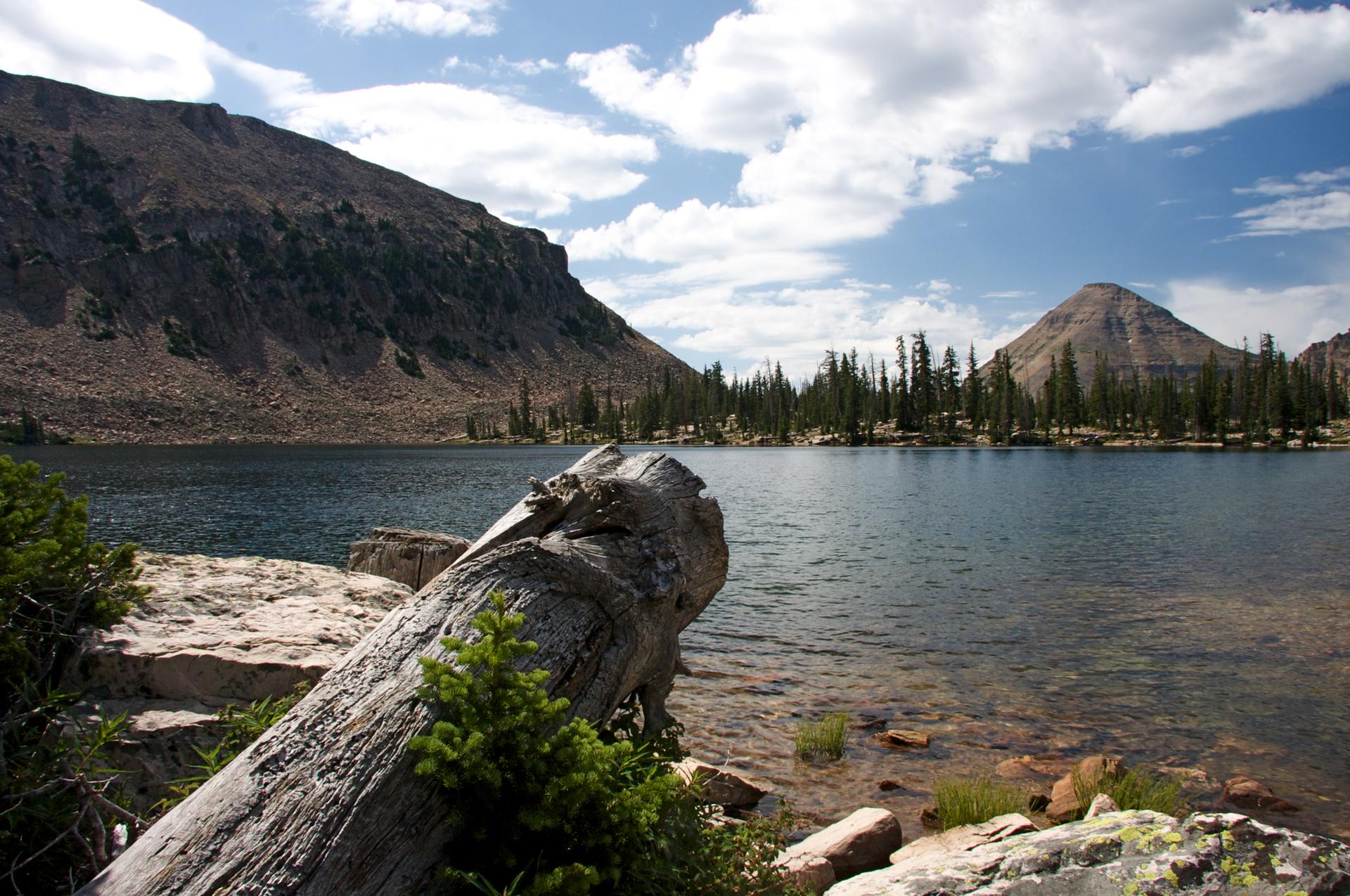 Sunny mountain lake with a large log, surrounded by peaks and pine trees.