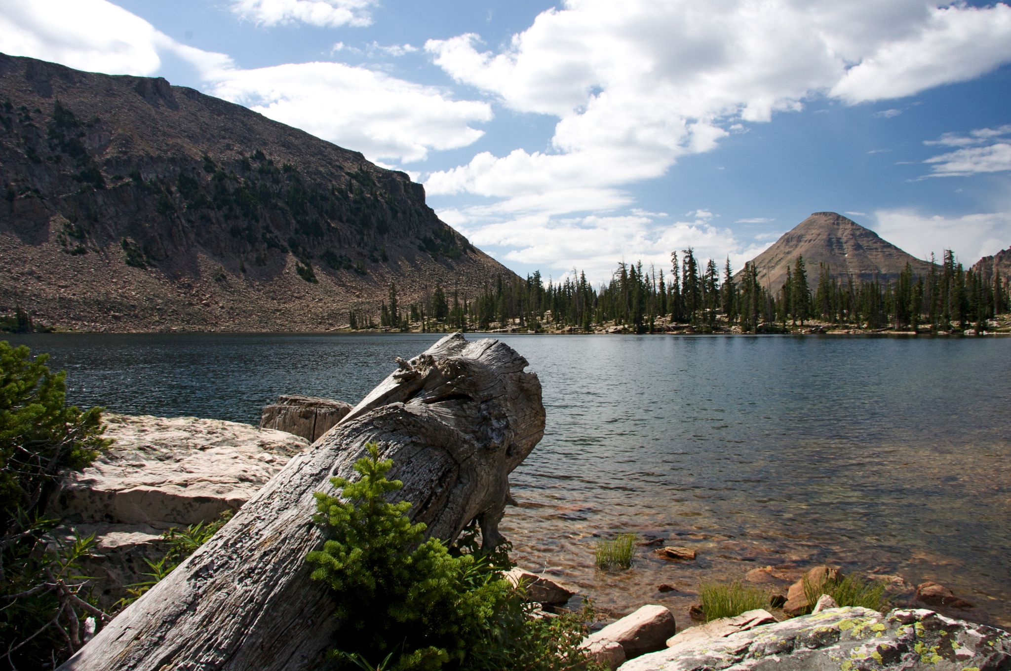 Sunny mountain lake with a large log, surrounded by peaks and pine trees. - Kamas Lake via Lofty Lake Trail