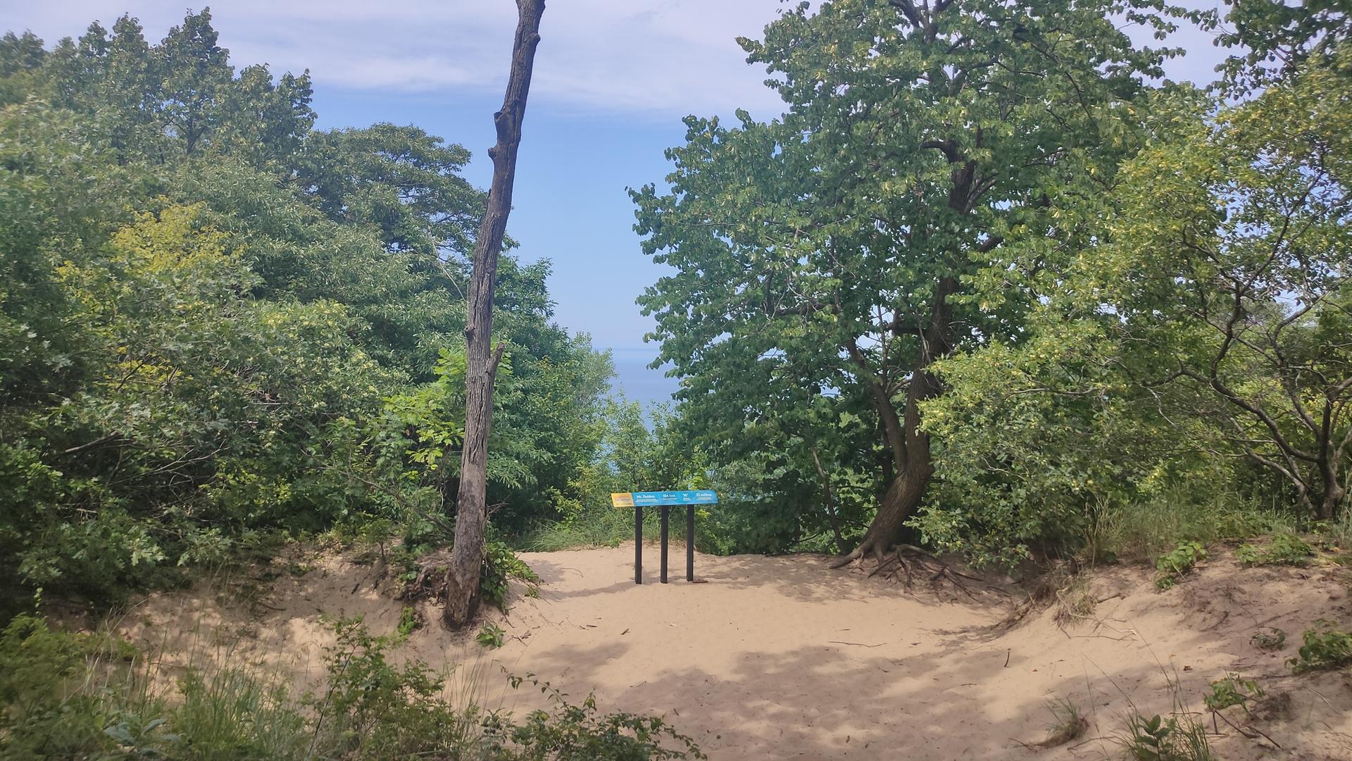 Sandy path leading to a sign, surrounded by dense green trees.