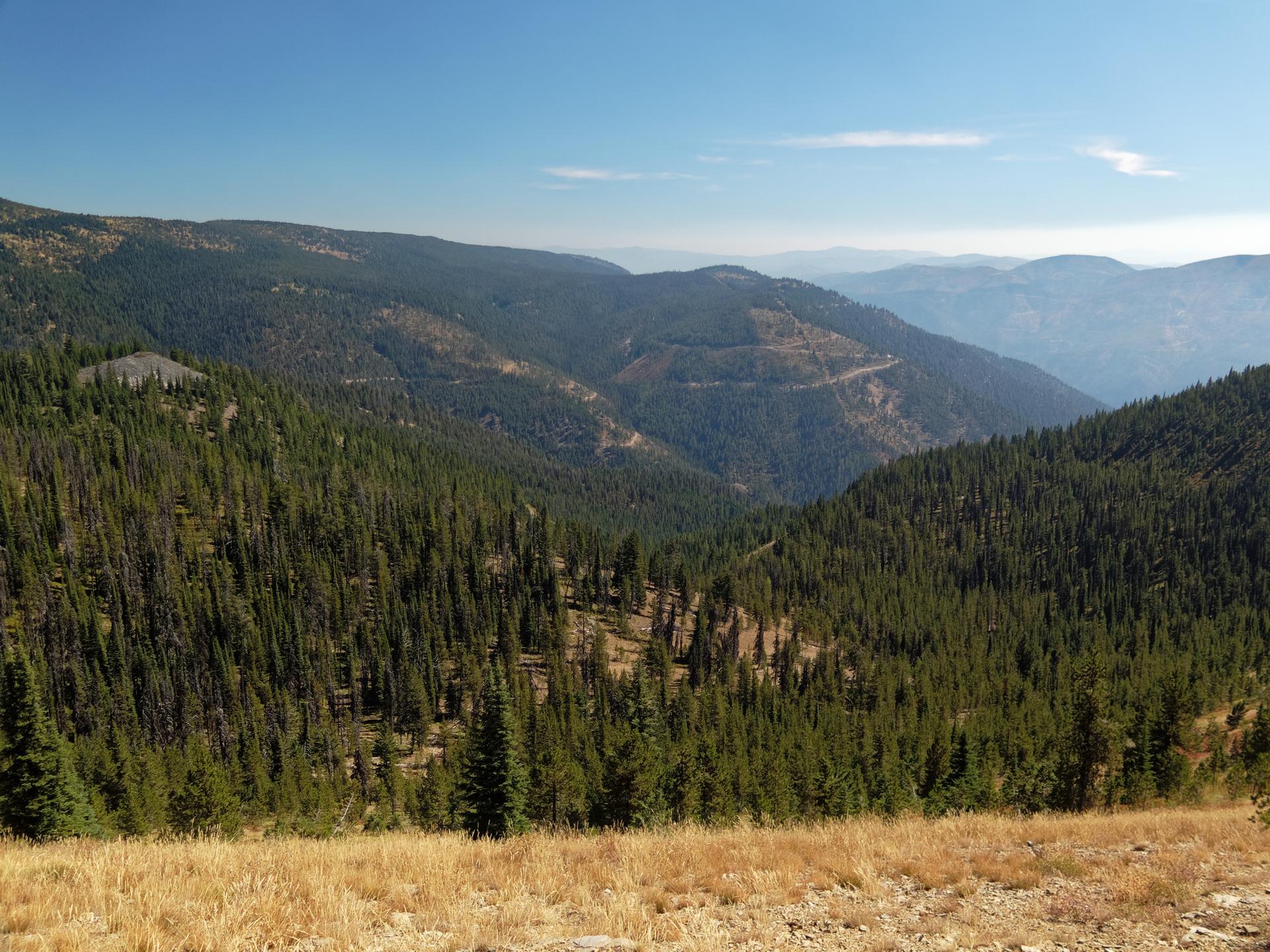 Expansive view of forested mountains under a clear blue sky.