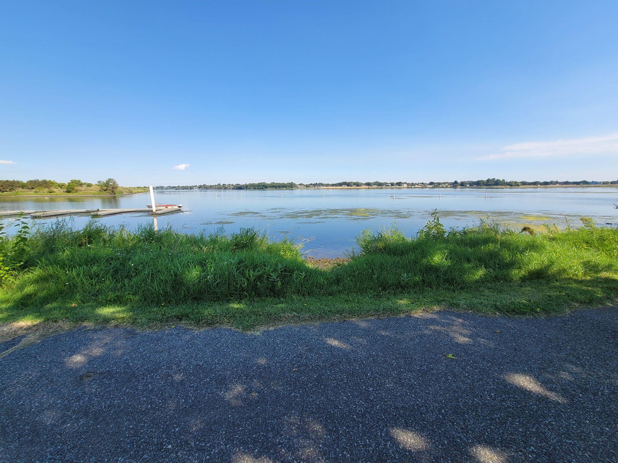 A wide body of water with green reeds, seen from a shaded paved path. - Columbia Park Lakeside View – Sacagawea Heritage Trail loop from Richland