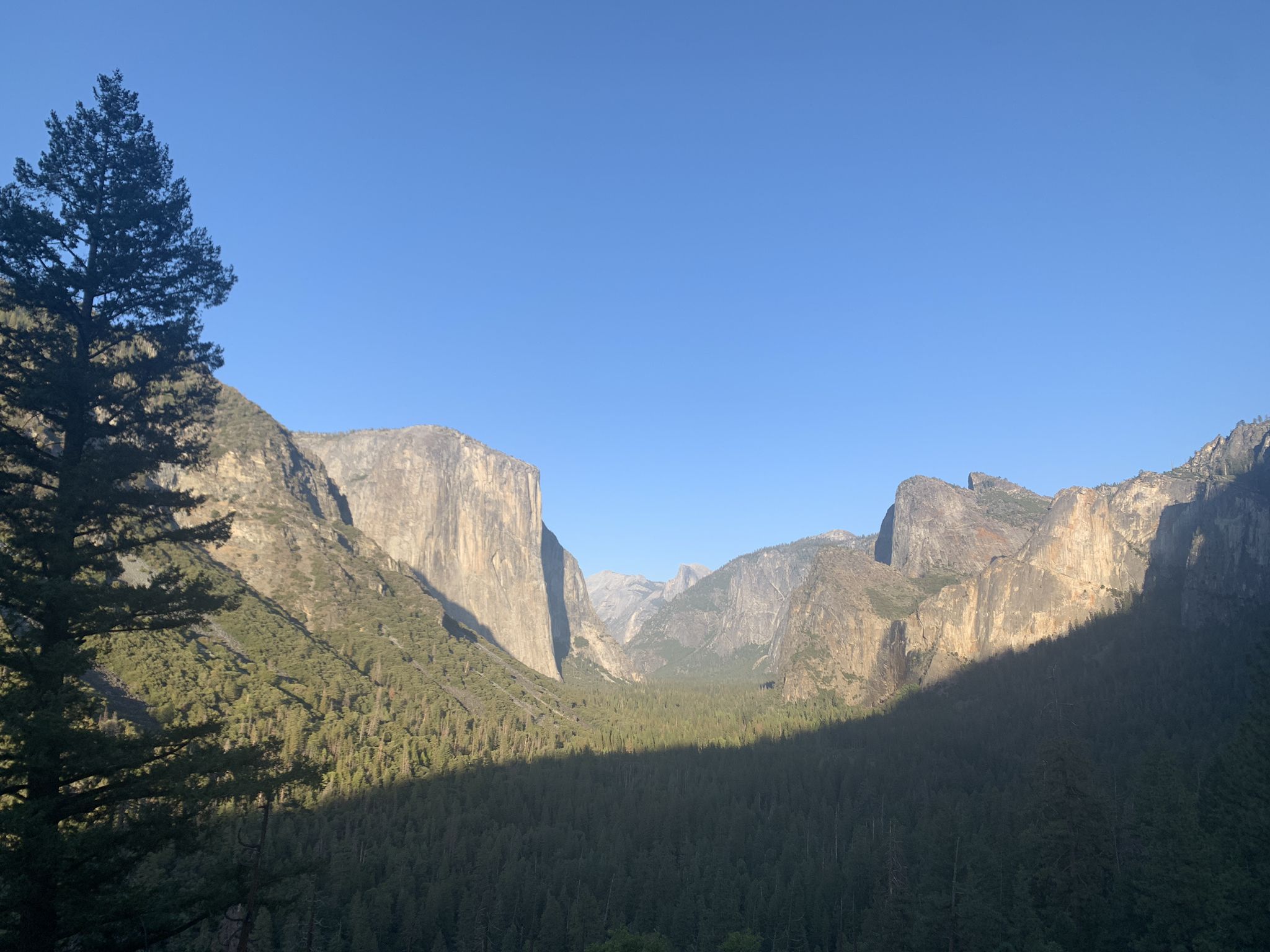 Wide valley with massive rock walls, dense forest, and a clear blue sky. - Inspiration Point Trail