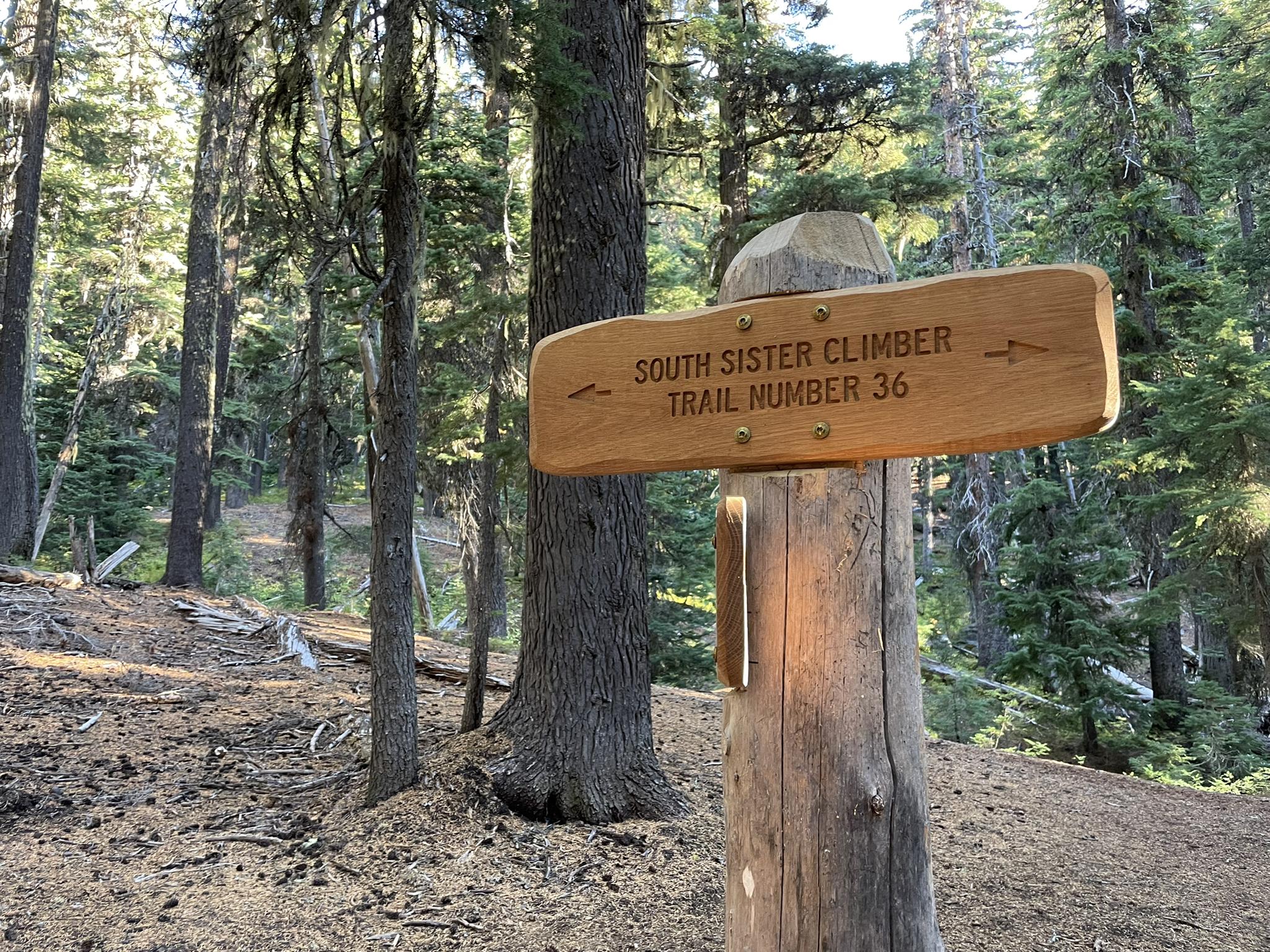 A wooden trail sign in a sun-dappled forest, indicating a climber's path.