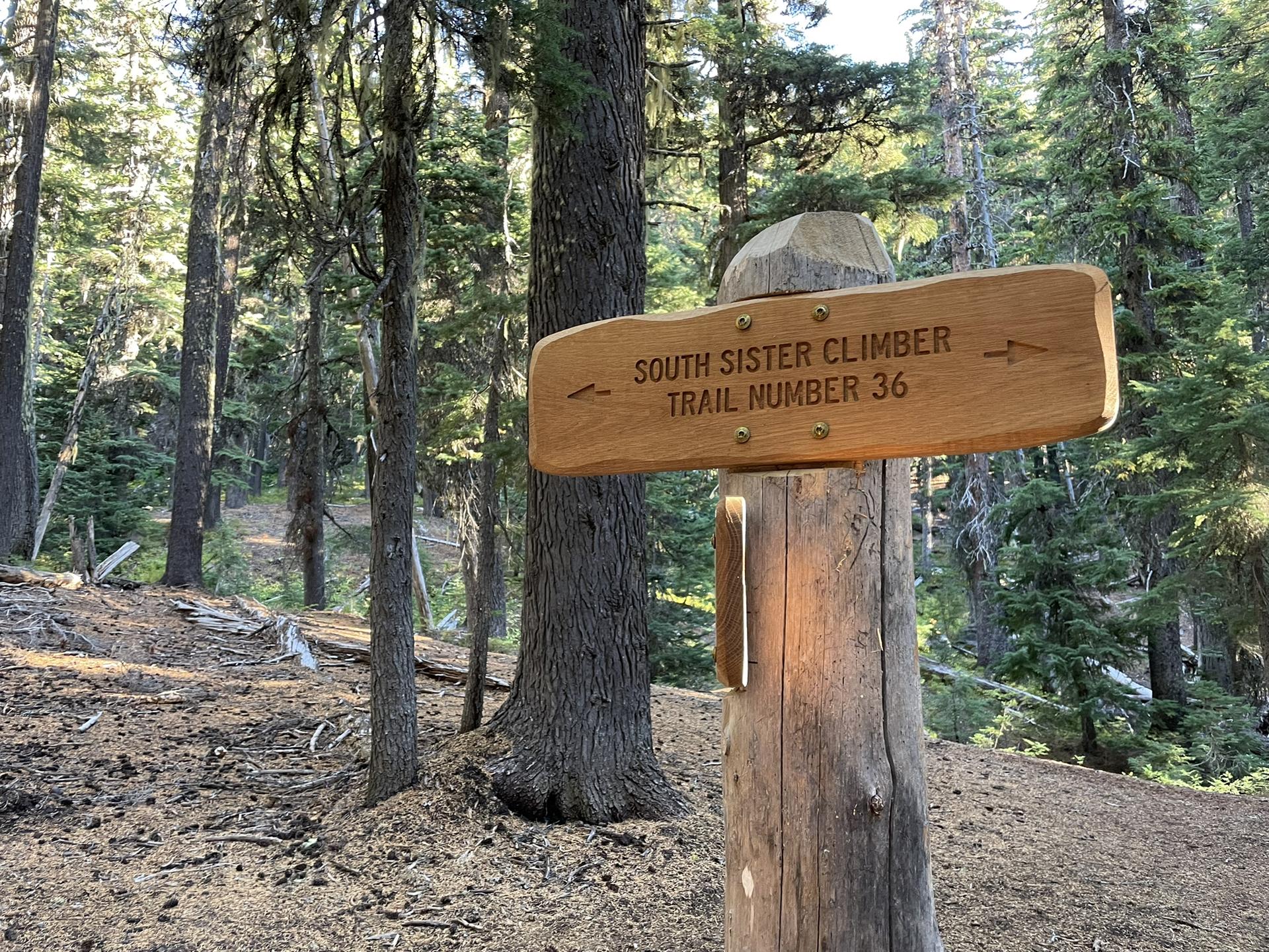 A wooden trail sign in a sun-dappled forest, indicating a climber's path.