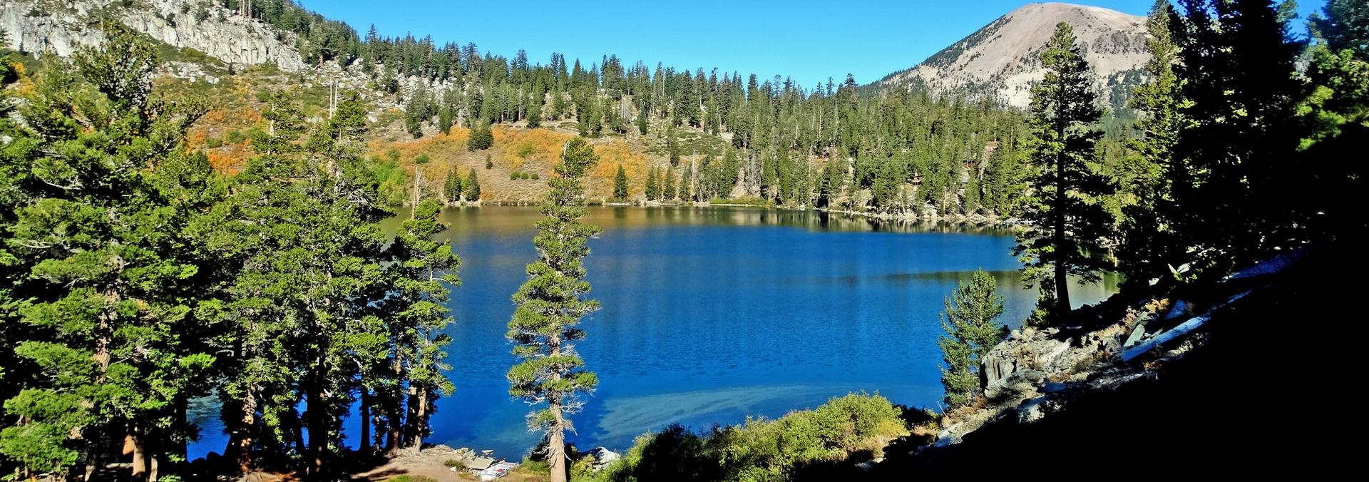 Bright blue lake surrounded by dense pine forests and mountains under clear sky.