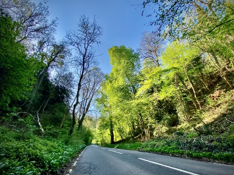 Brockley Combe Road Cycle Routes and Map Komoot