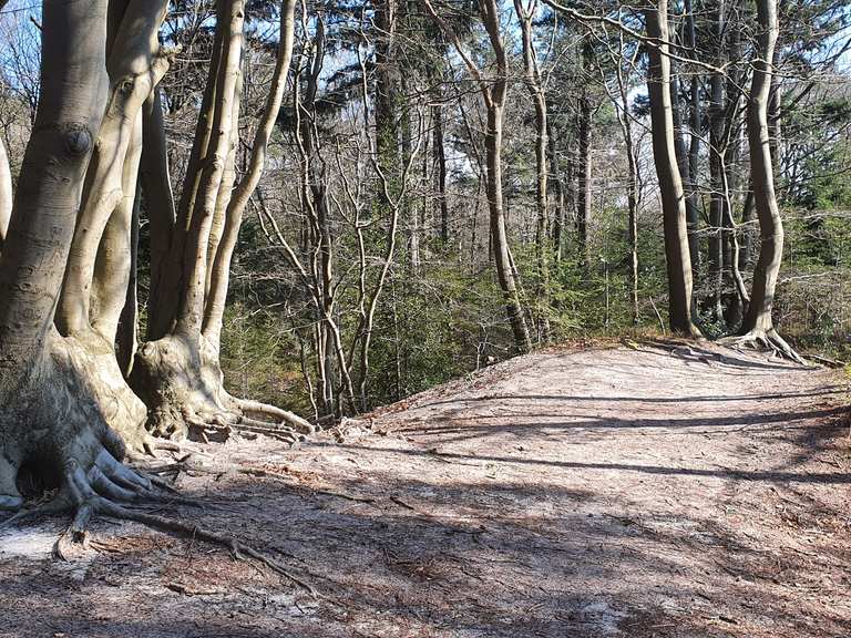 Korte Duinen De duinen van soest!