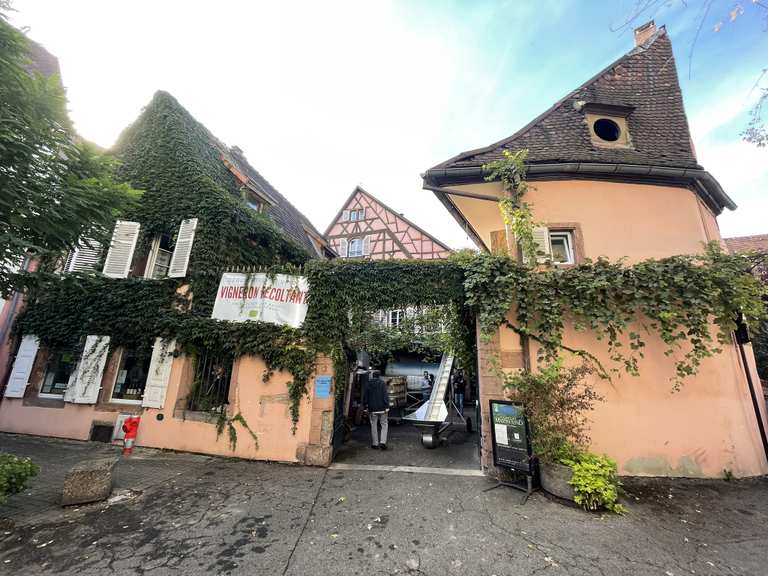 Domaine Martin JUND Wanderungen und Rundwege komoot