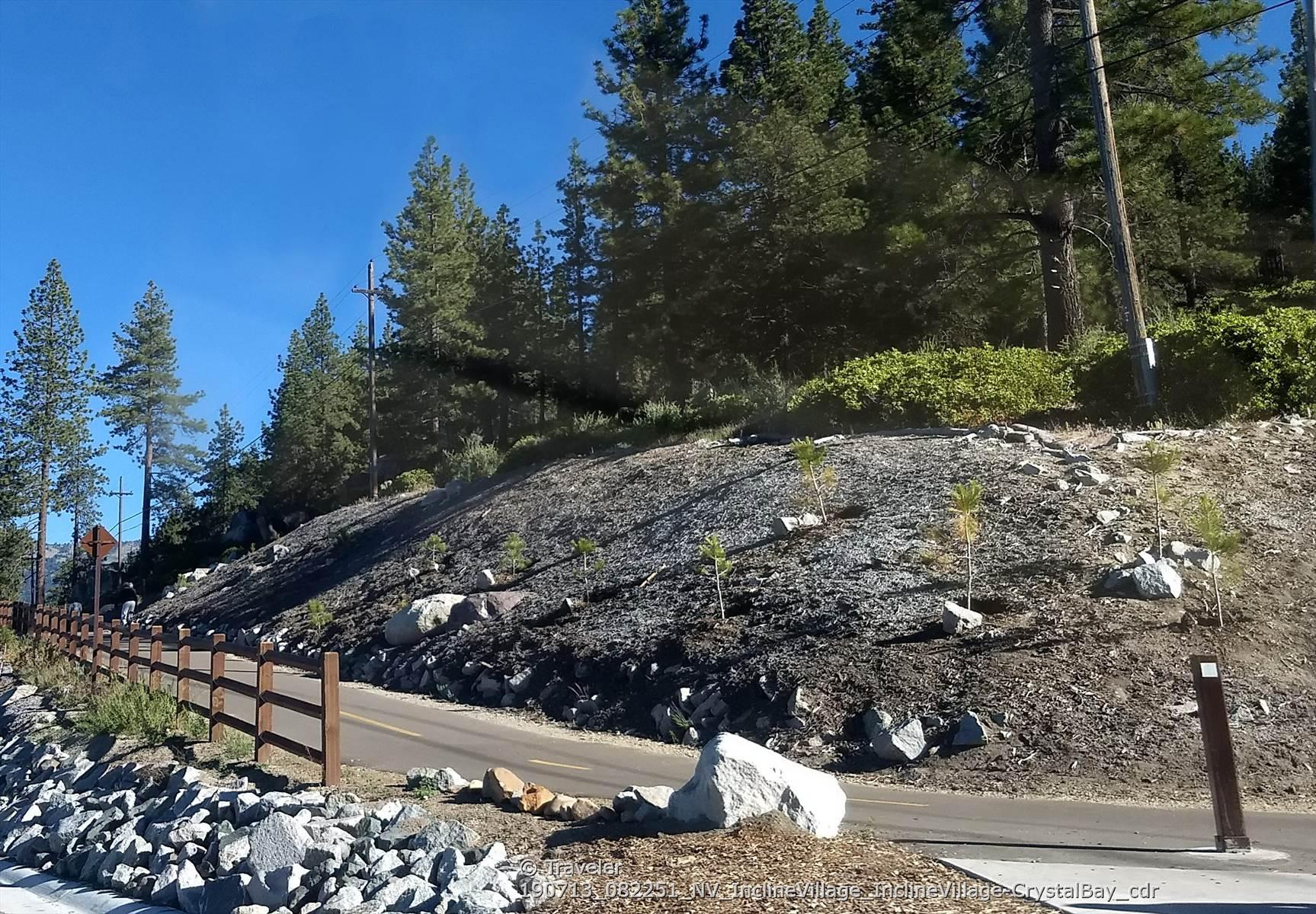Paved path alongside a rocky, forested hillside under a clear blue sky.