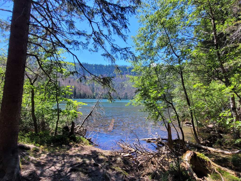 Černé Jezero (Black Lake) – Hiking & Cycling Routes