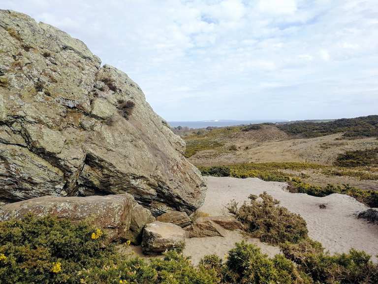 Poole Harbour loop - Dorset | ride | Komoot