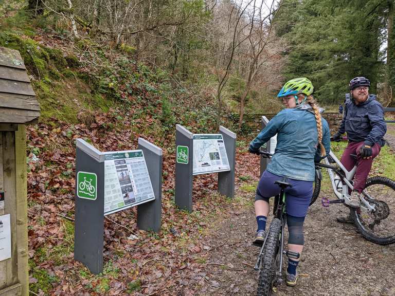 Brechfa forest mountain store biking