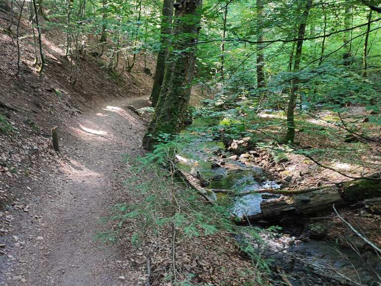 Bachweg 9 Gieen