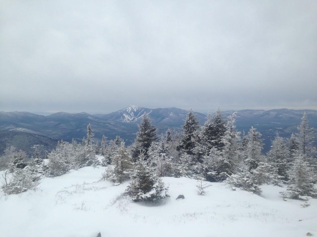 Snow-covered trees and mountains under a cloudy winter sky.