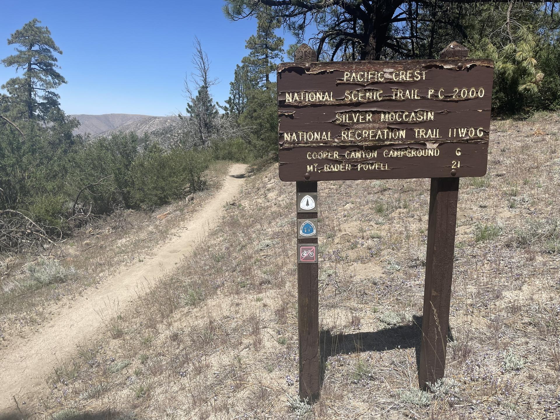 Wooden trail sign next to a dirt path in dry, sunny wilderness.