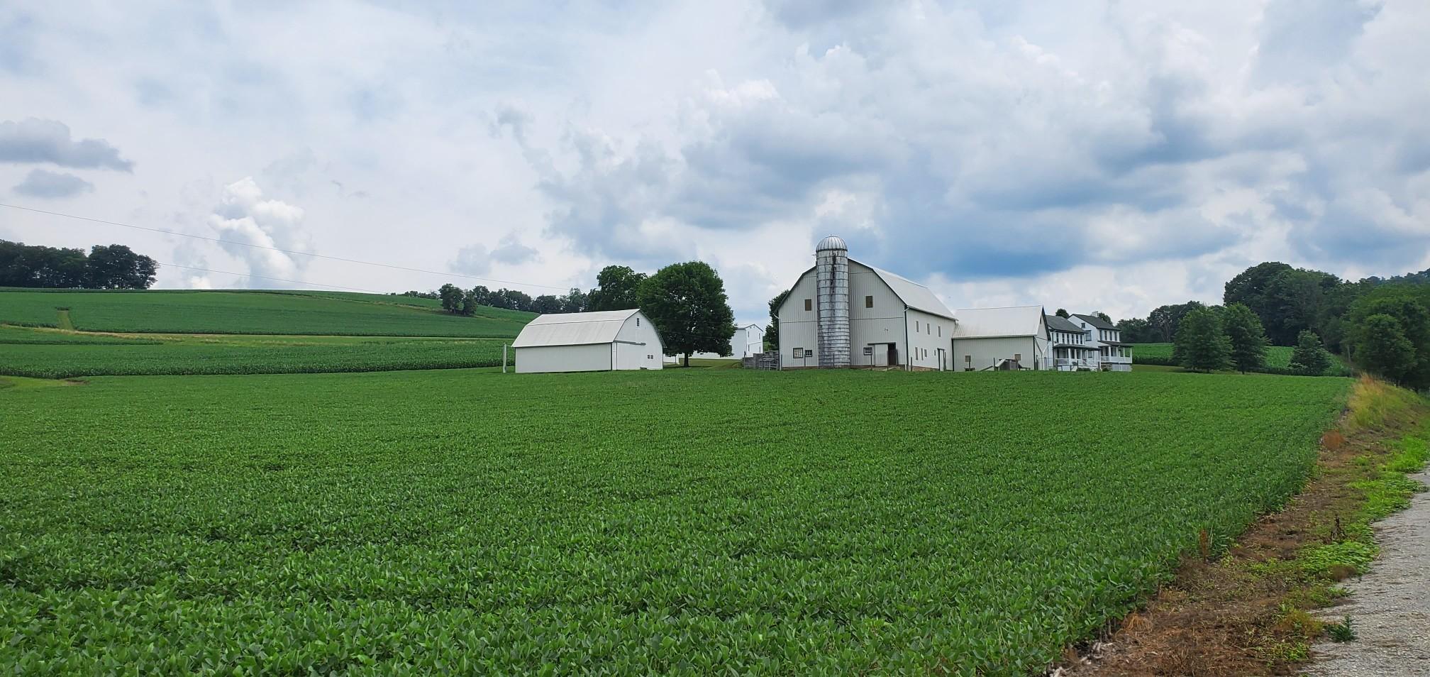 Green fields with a white barn and farmhouse under a cloudy sky.