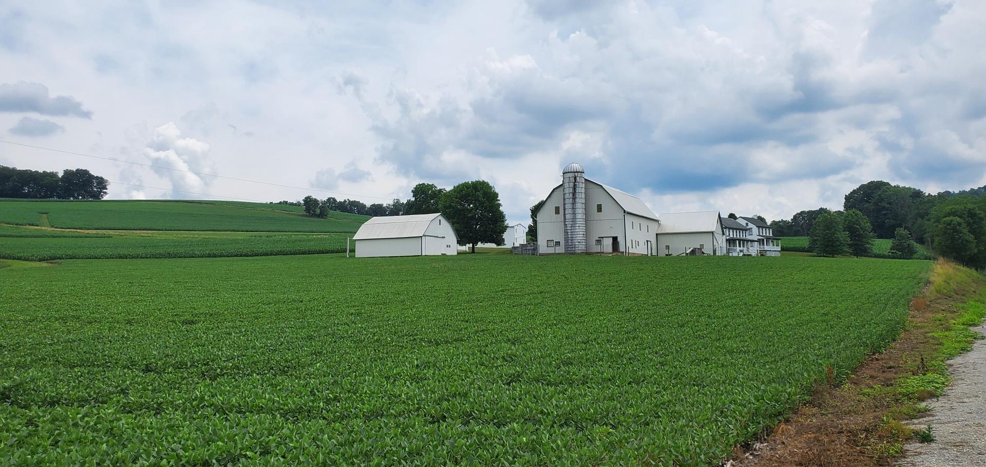 Green fields with a white barn and farmhouse under a cloudy sky.