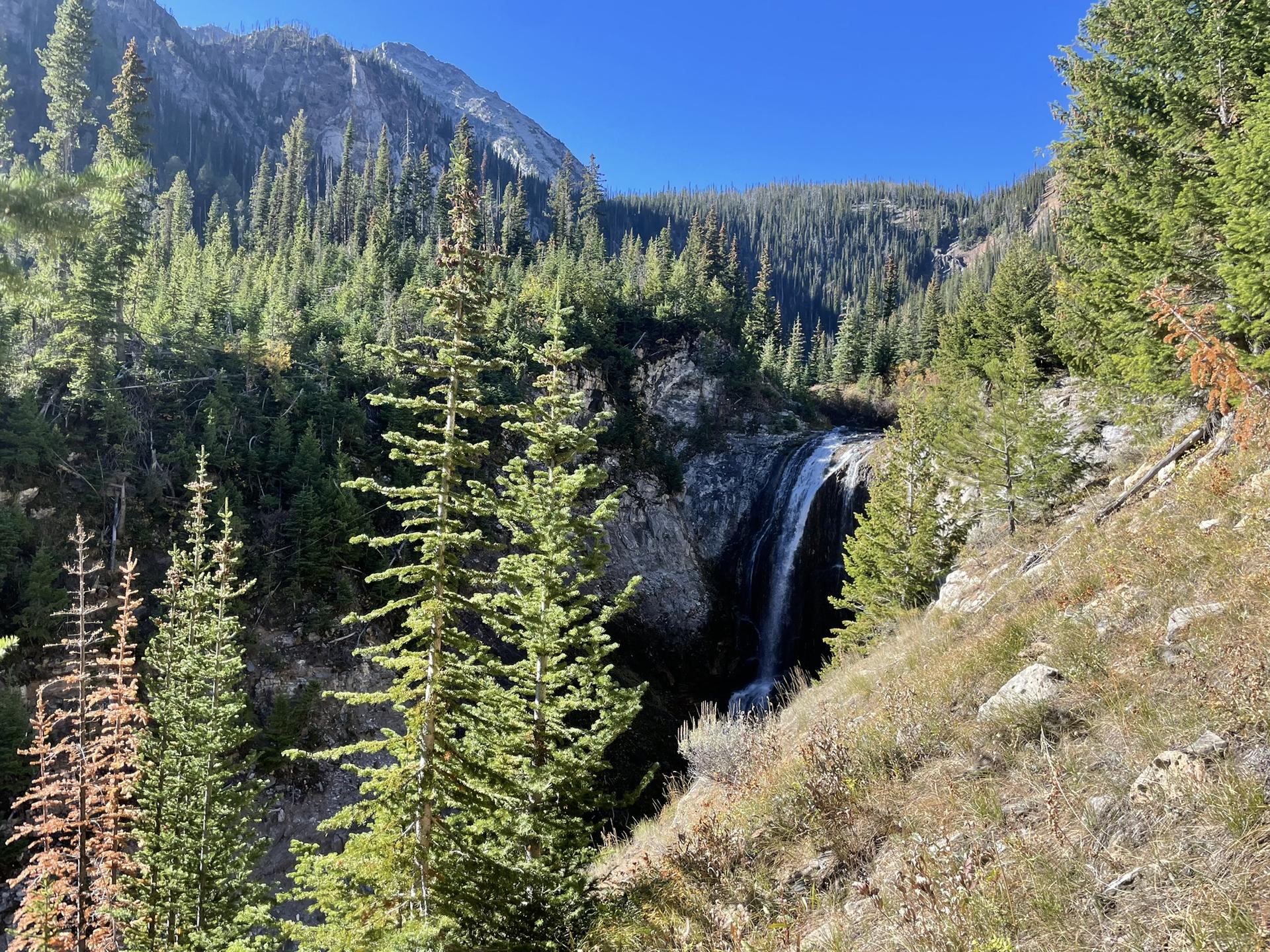 Waterfall cascading down a rocky cliff, framed by dense pine trees on a sunny day.