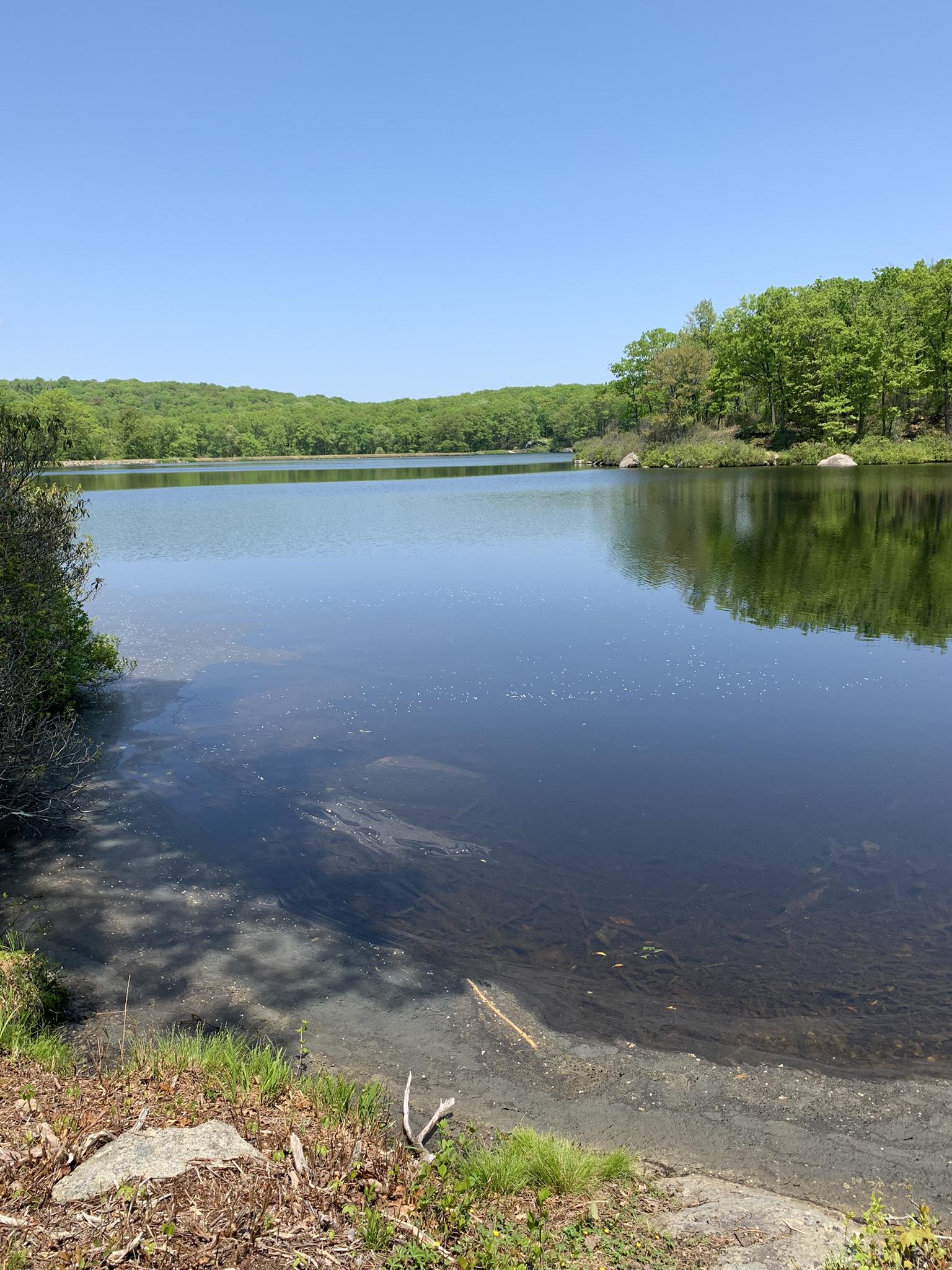 Clear lake with a shallow, rocky edge, surrounded by lush green trees.