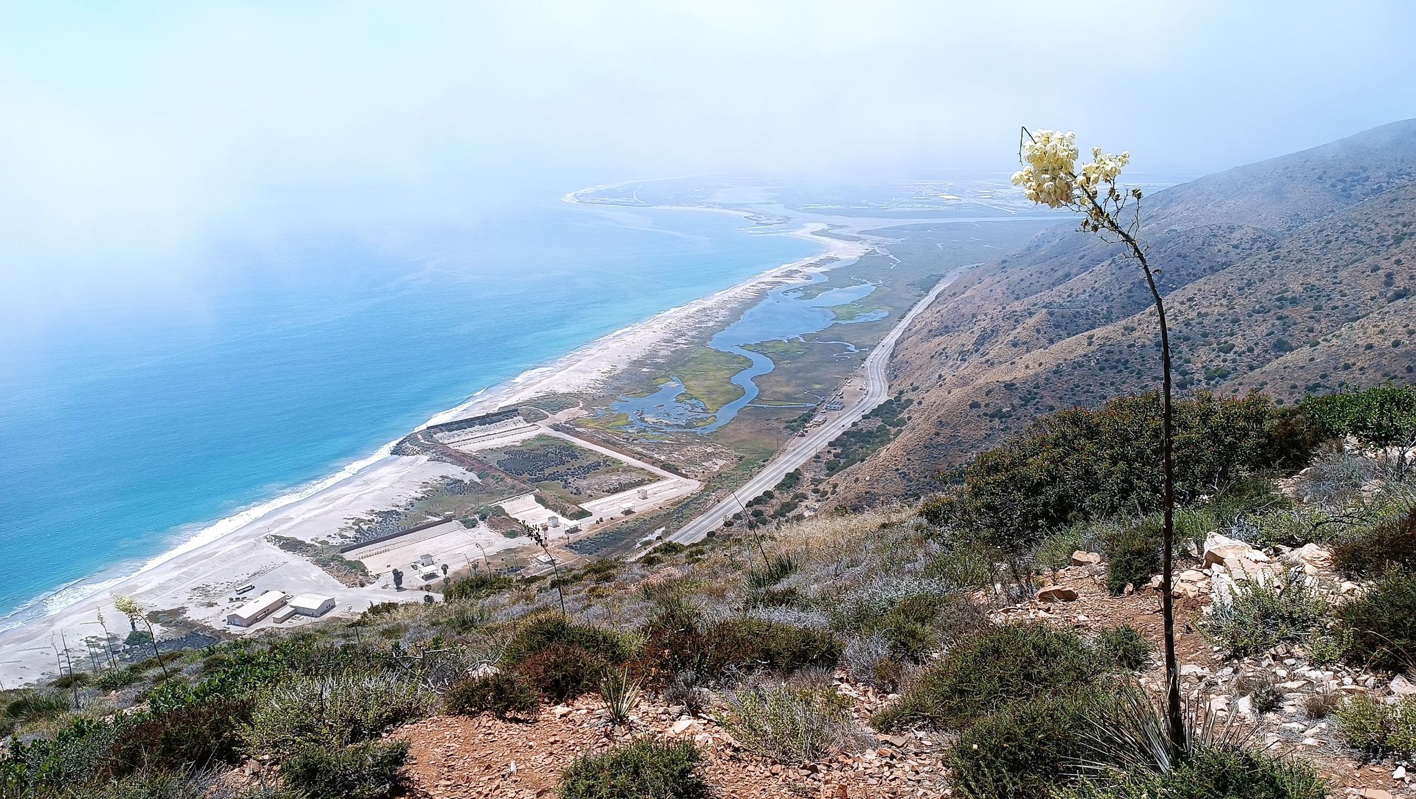 Coastal view from a hillside with a tall yellow flower in foreground. - Mugu Peak and La Jolla Valley Loop Trail