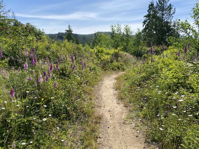 Galbraith mountain beginner online trails