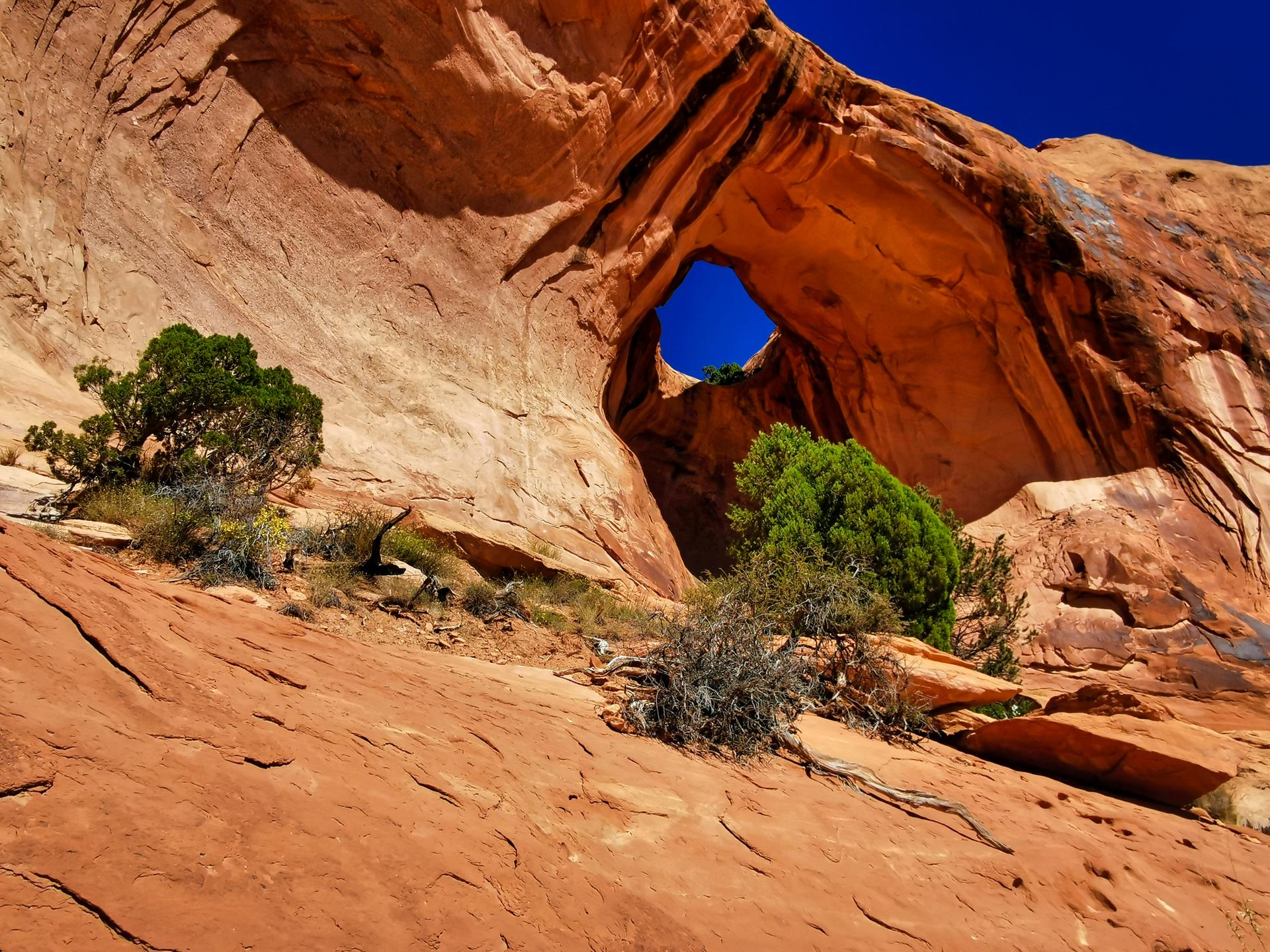 Close-up of a natural rock arch with green shrubs and blue sky visible through it.