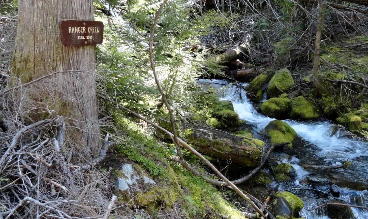 A wooden sign on a tree by a rocky, mossy stream in a sunlit forest. - Ranger Creek Loop