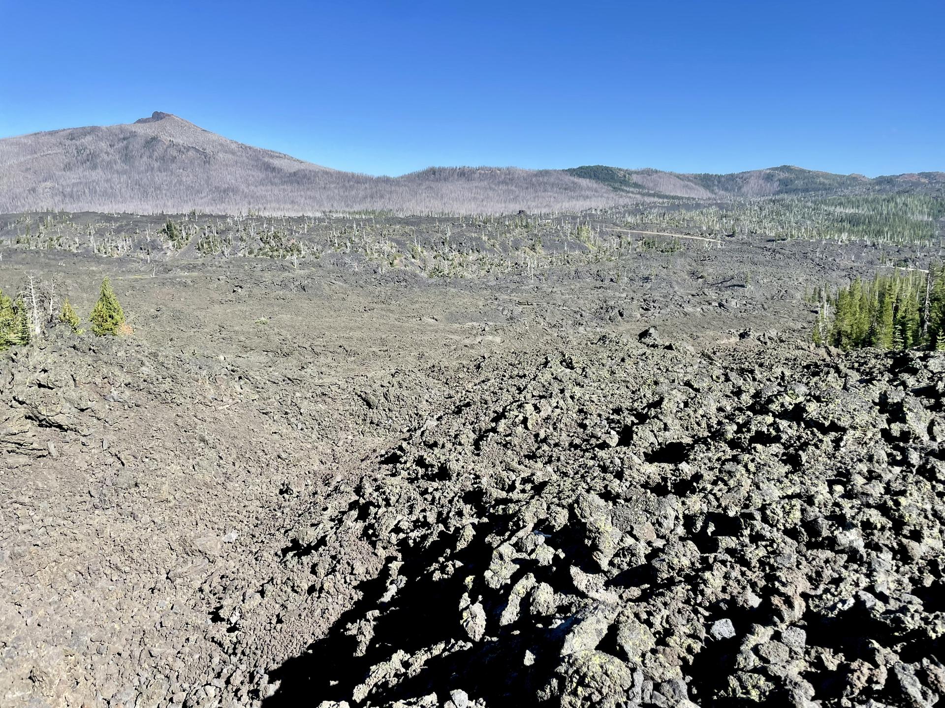 Expansive dark lava field stretching to distant mountains under clear blue sky.