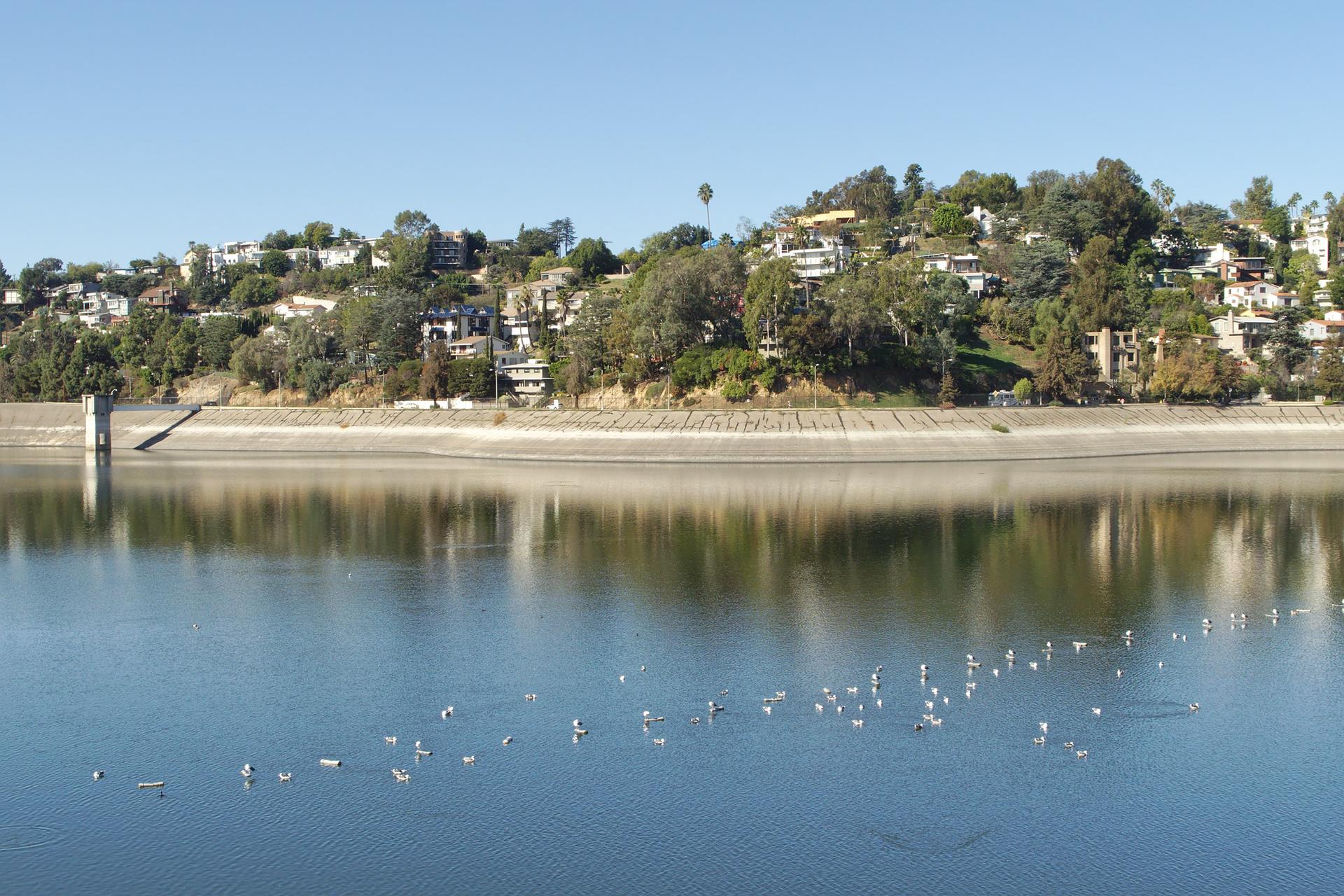 Wide shot of calm water, birds, and hillside houses under a clear sky.