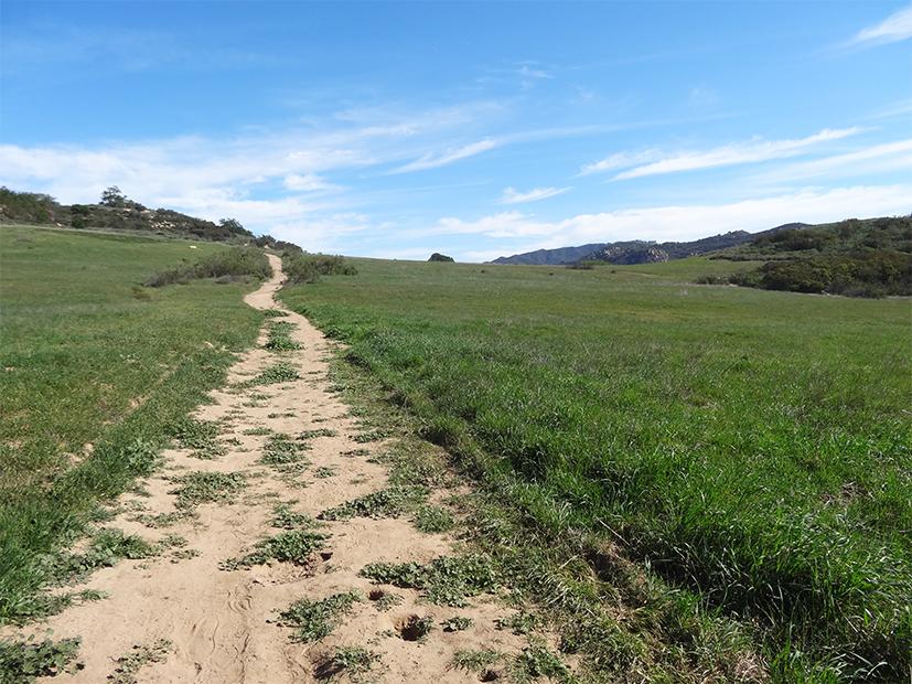 A winding dirt path through green grassy hills under a bright blue sky.