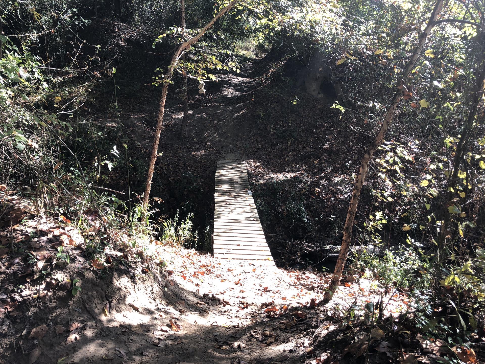 Sunny forest path with a wooden bridge leading into shadows.
