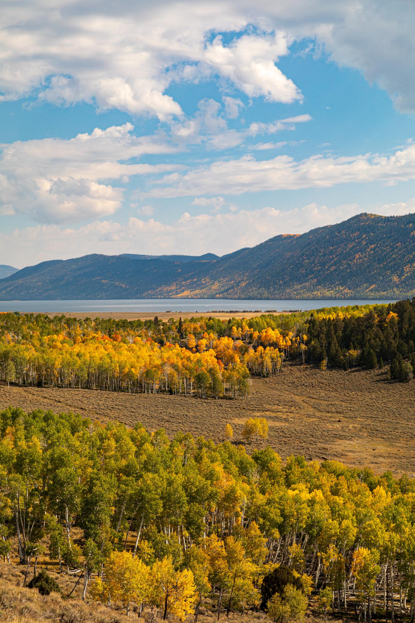 An expansive autumn landscape with golden and green trees, a lake, and mountains.