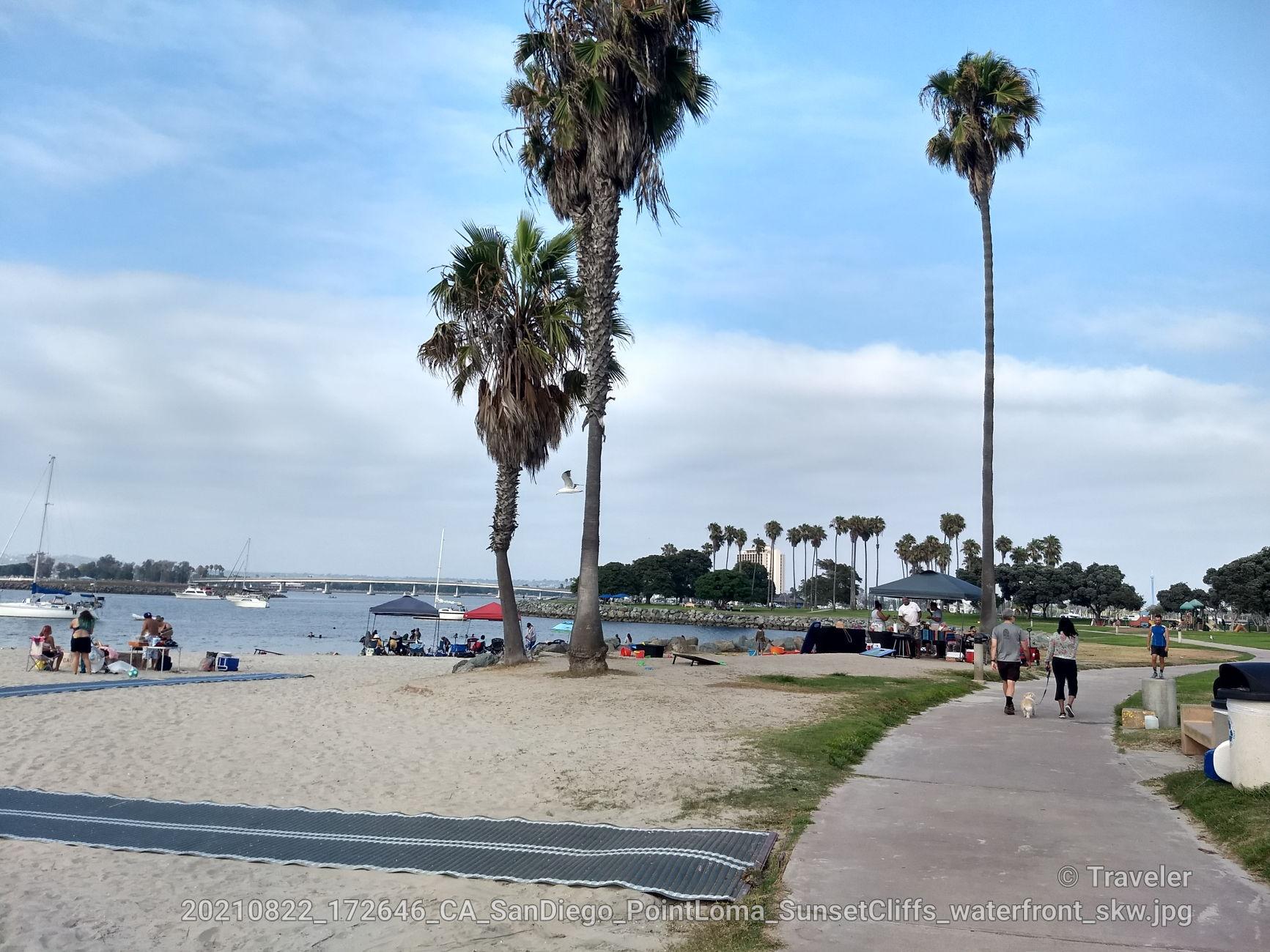 People relax on a sandy beach with palm trees by a bay.
