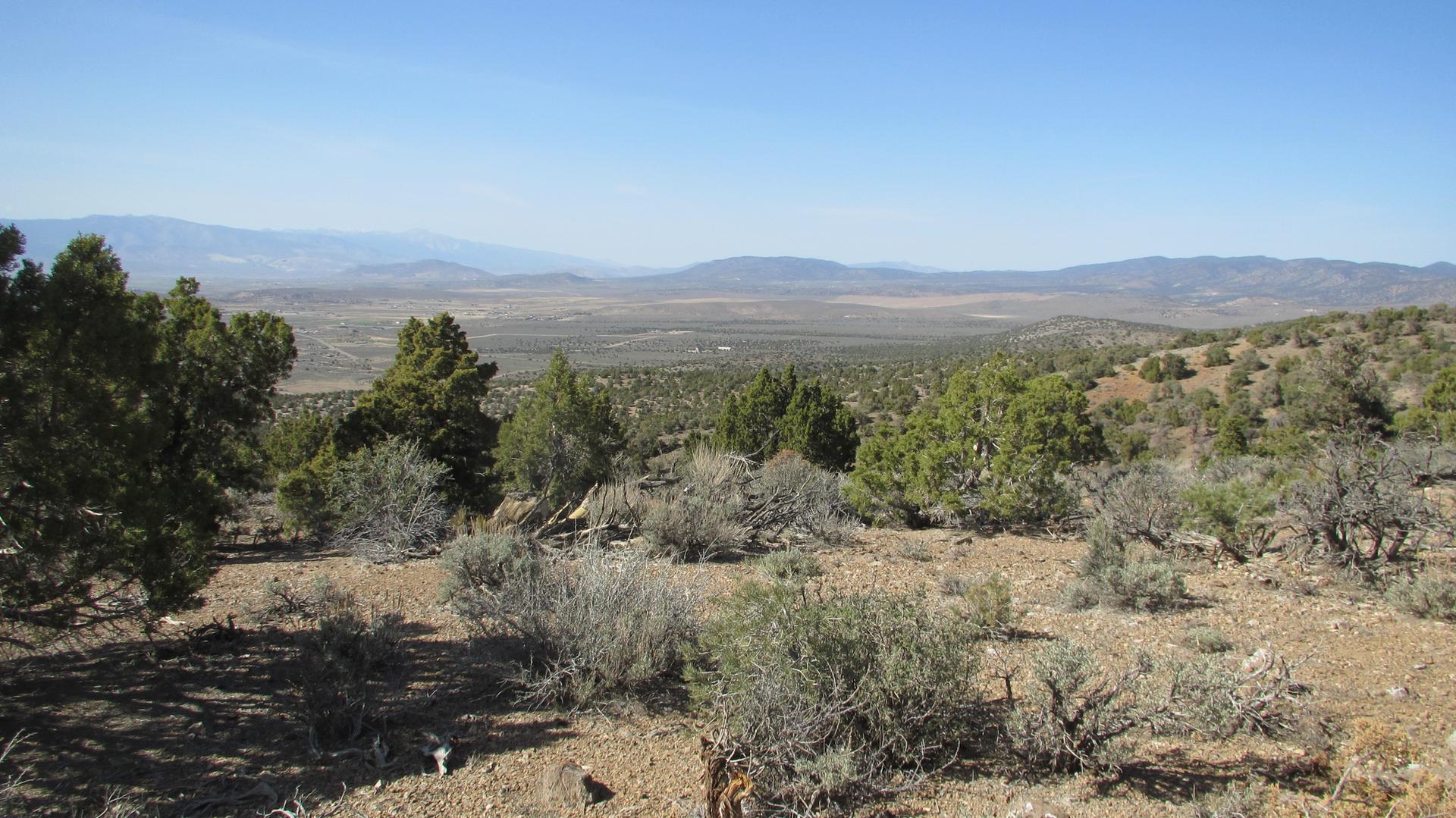 Sunny, arid landscape with scattered green trees, shrubs, and distant mountains.
