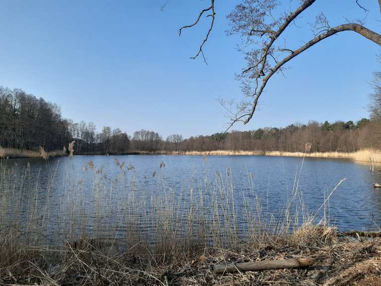Camping Presseler Teich Wanderungen und Rundwege komoot