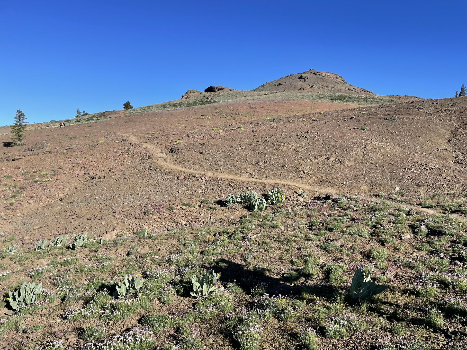 A dirt trail winds up a barren, rocky hill under a clear blue sky.