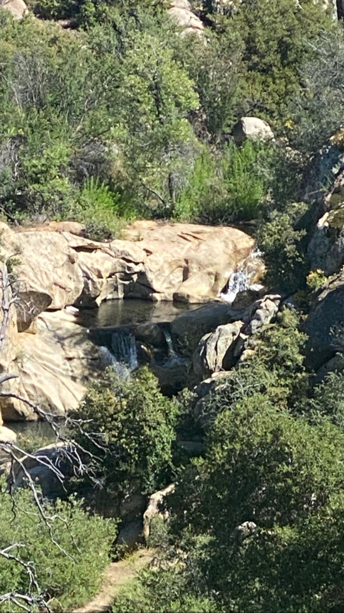 Small waterfall cascading over rocky ledges into clear pools, surrounded by green foliage. - Dead Horse Falls Trail