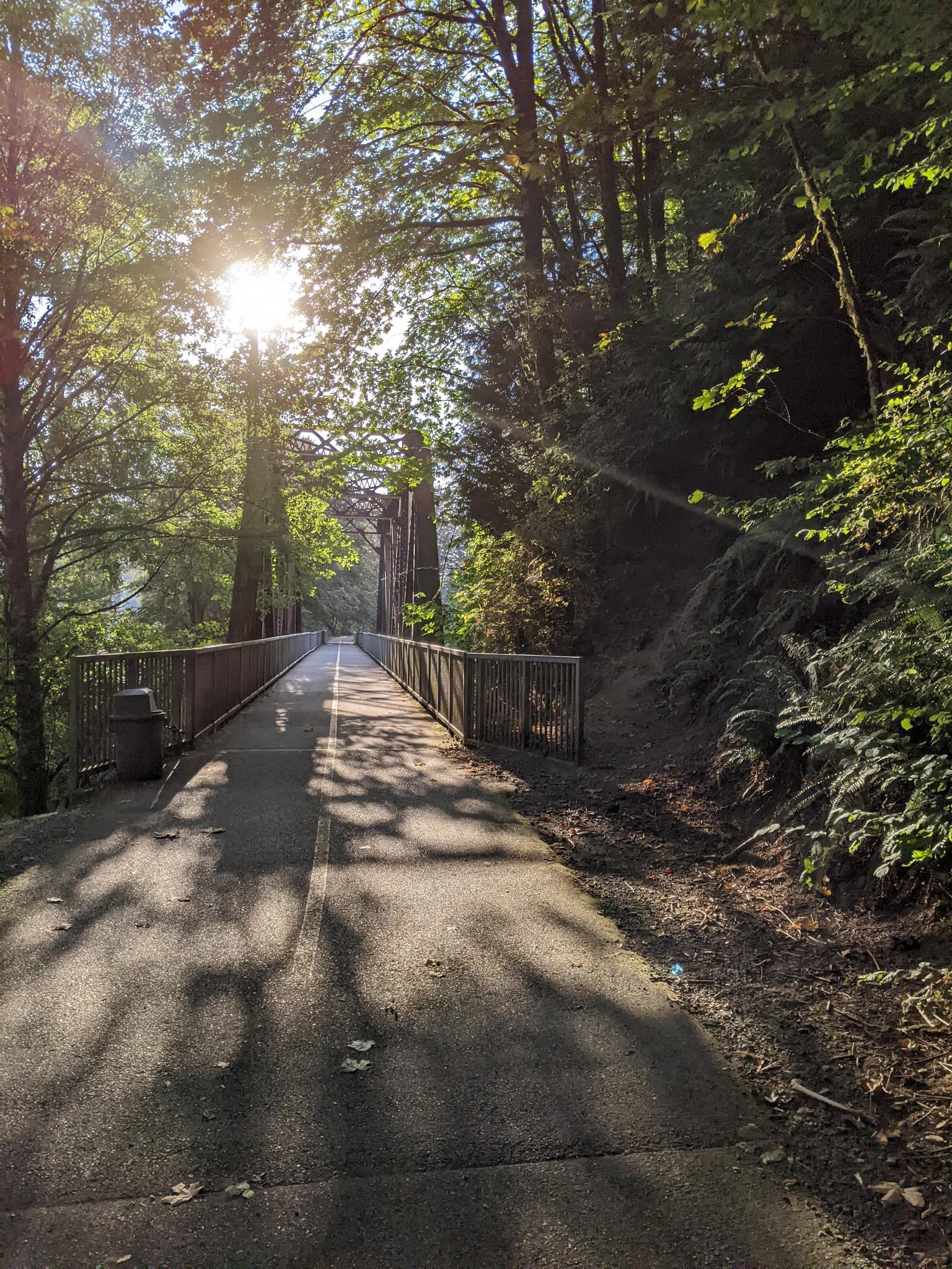 Sun shines through forest trees onto a paved path leading to a bridge.