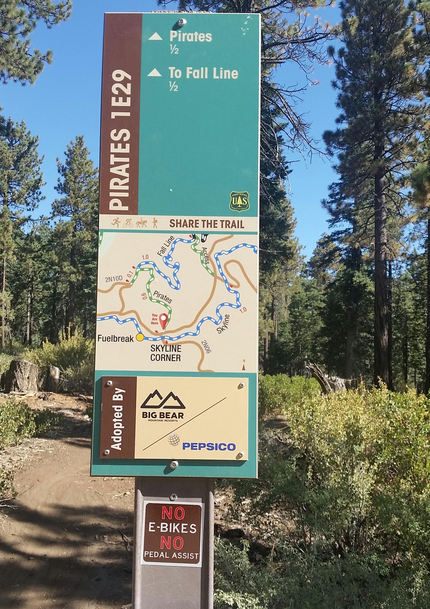 A trail map sign stands in a sunny pine forest, showing routes and rules.
