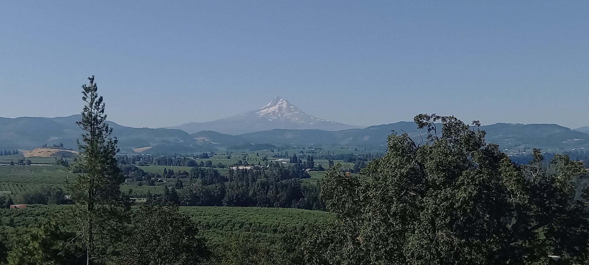 Distant snow-capped mountain peak above a green valley and trees, clear sky. - Hood River to The George White House loop