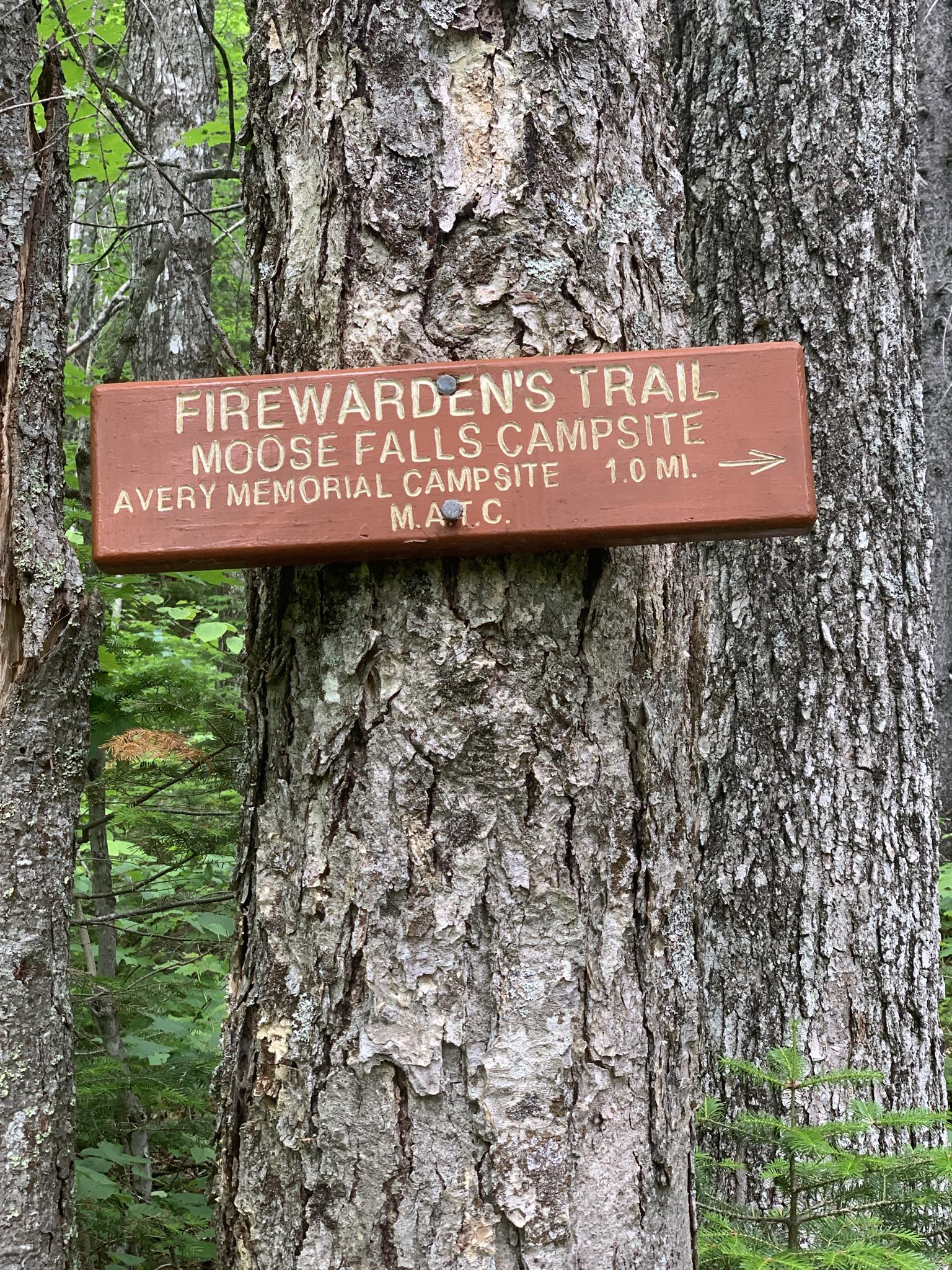 Brown wooden trail sign nailed to a tree trunk in a shaded forest.